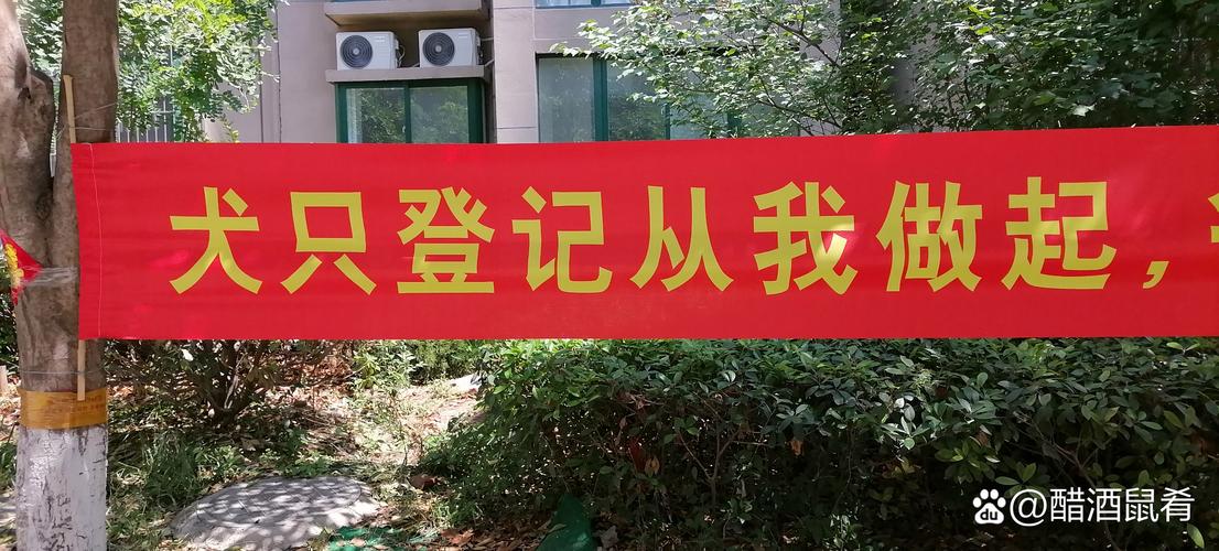 腥醋机械